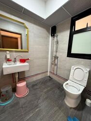Blk 113A Plantation Acres (Tengah), HDB 3 Rooms #638210511